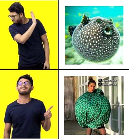 Memes & Satire image