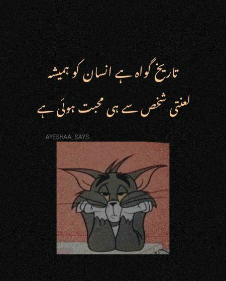 Memes & Satire image