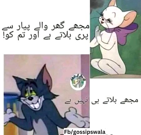 Memes & Satire image