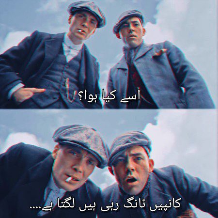 Memes & Satire image