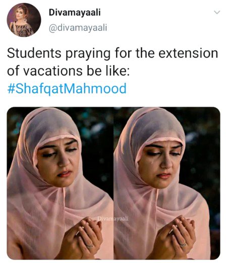 Memes & Satire image