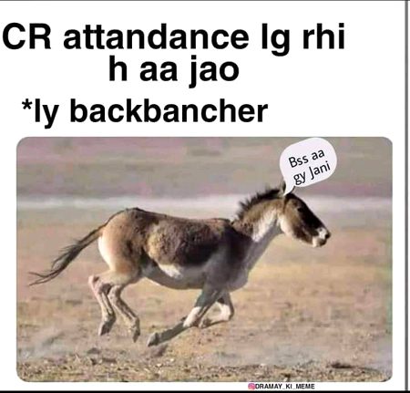 Memes & Satire image