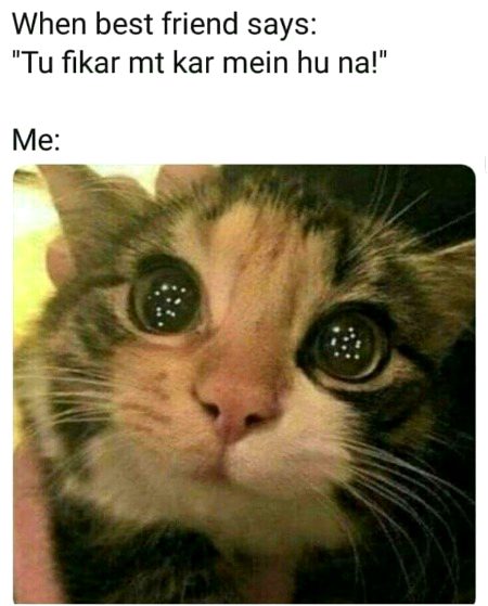 Memes & Satire image