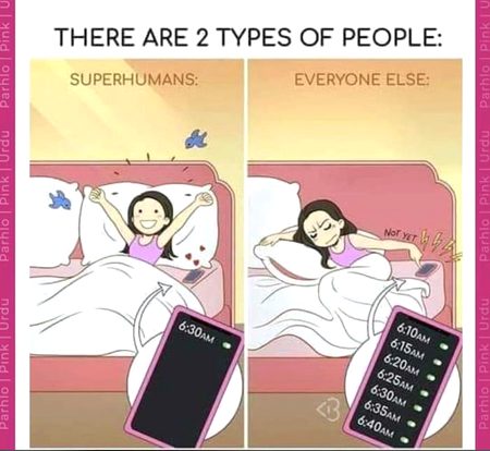 Memes & Satire image