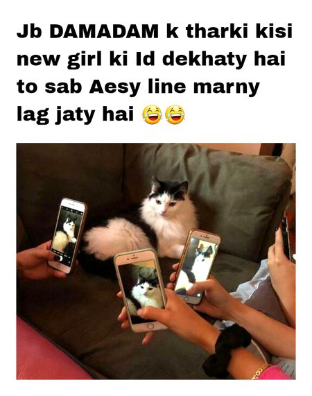 Damadam Roasting image
