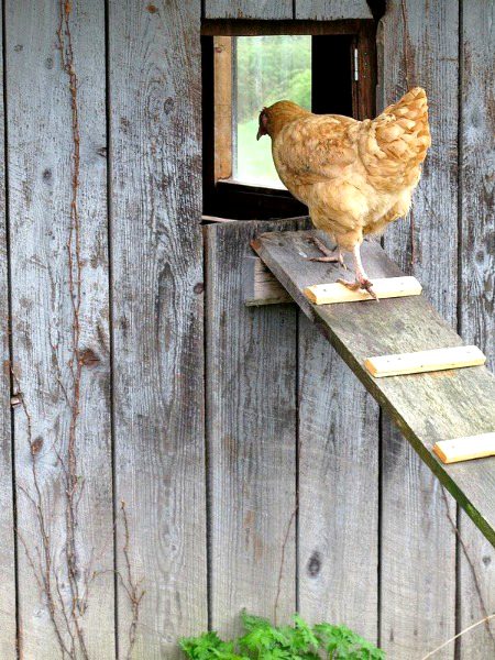 Beautiful Nature image