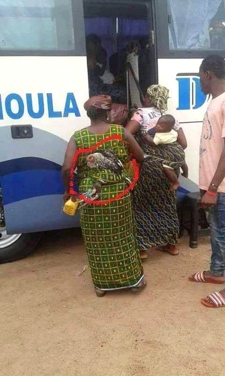 Memes & Satire image