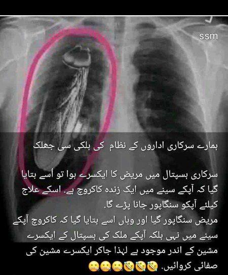 Memes & Satire image