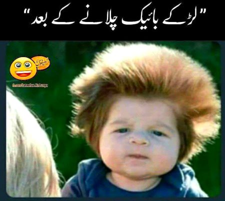 Memes & Satire image