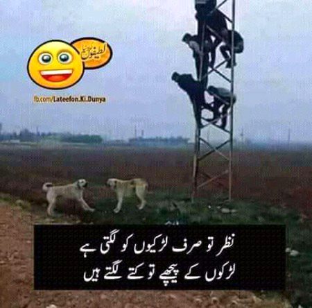 Memes & Satire image