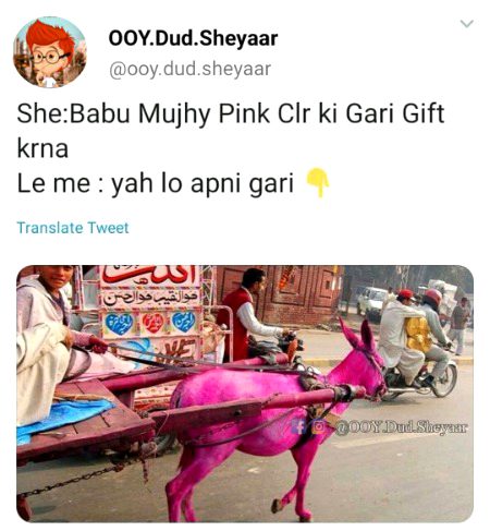 Memes & Satire image