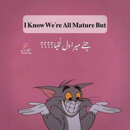 Memes & Satire image