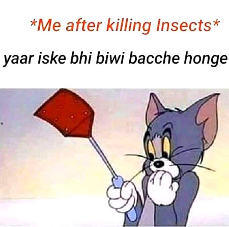 Memes & Satire image