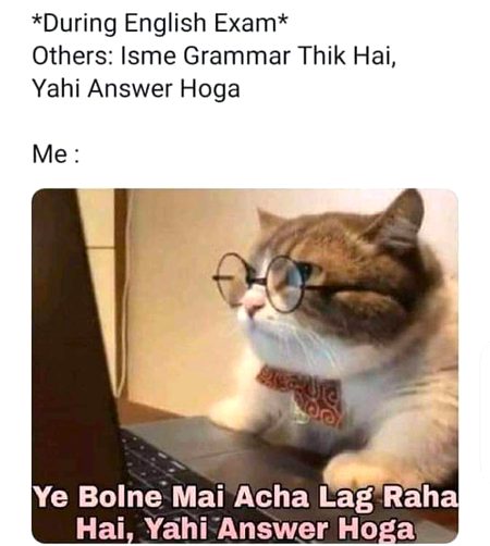 Memes & Satire image