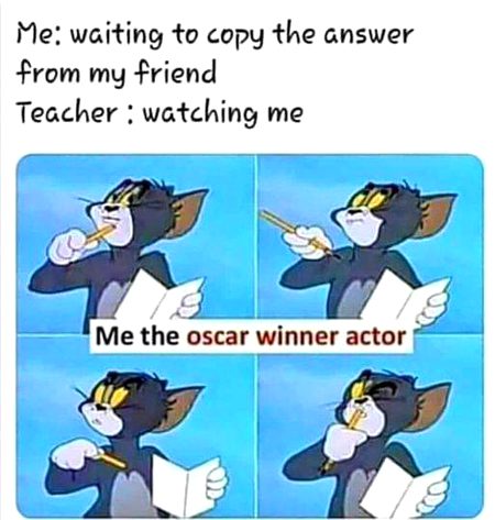 Memes & Satire image