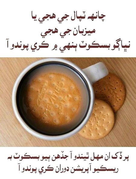 Memes & Satire image