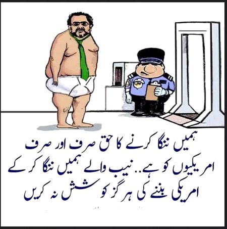 Memes & Satire image