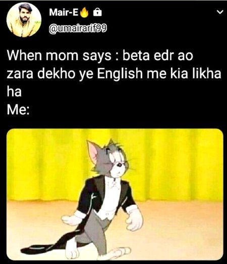 Memes & Satire image