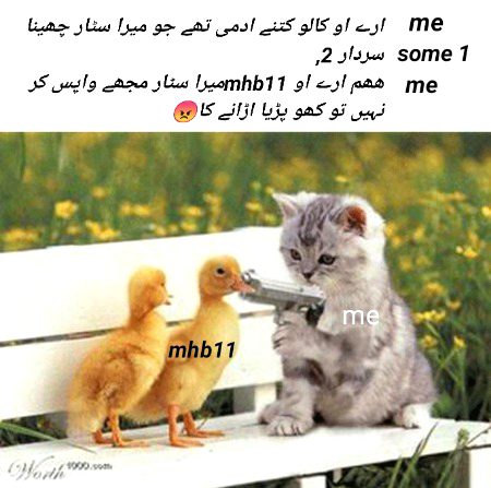 Damadam Roasting image