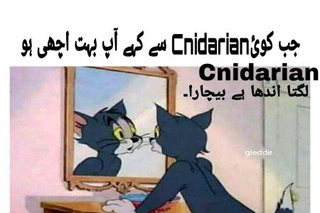 Damadam Roasting image