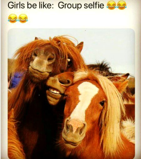 Memes & Satire image