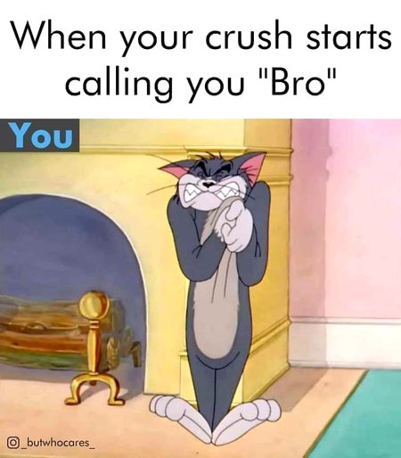 Memes & Satire image