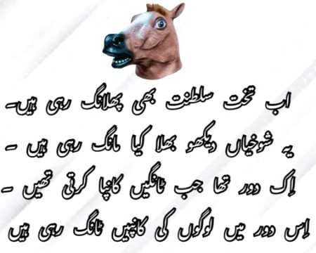 Memes & Satire image