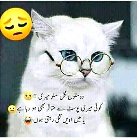 Memes & Satire image