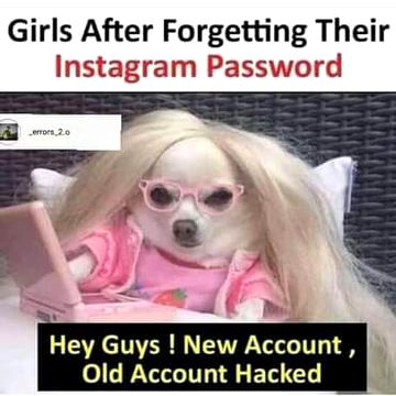 Memes & Satire image