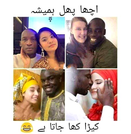 Memes & Satire image