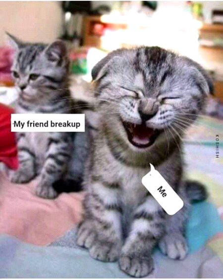Jokes image
