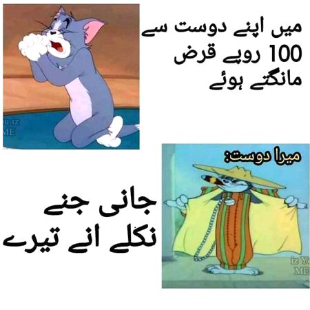Memes & Satire image
