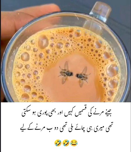 Memes & Satire image