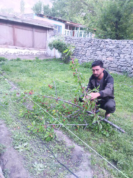 Beautiful People image