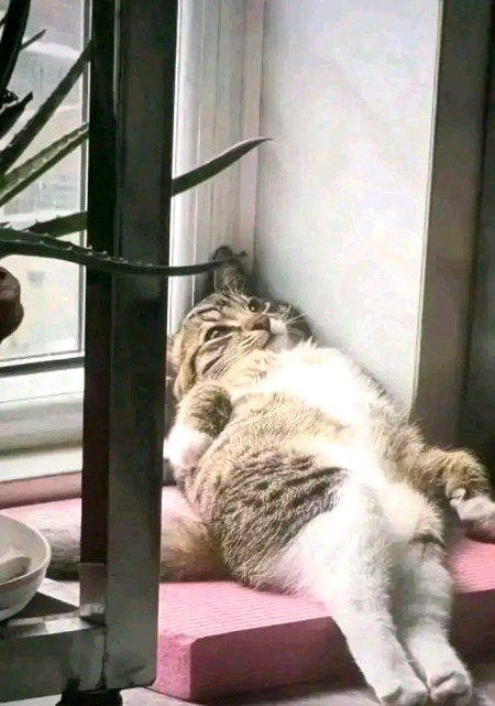 Beautiful Nature image