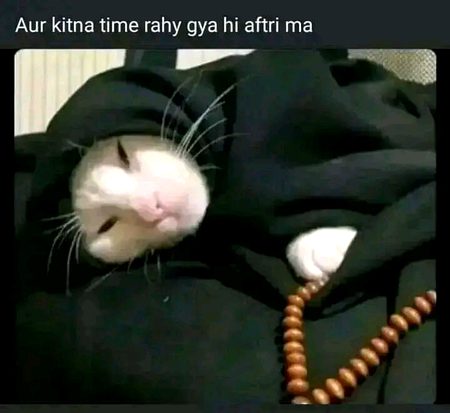 Memes & Satire image