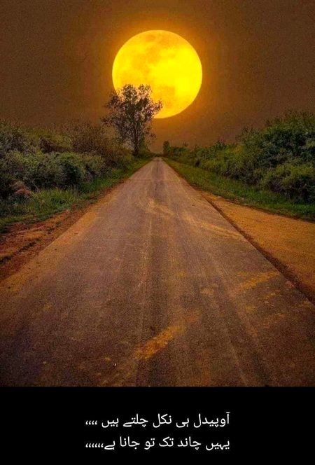 Beautiful Nature image