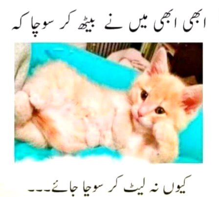 Jokes image
