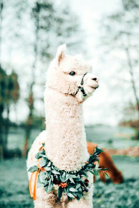 Beautiful Nature image