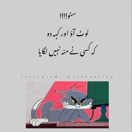 Memes & Satire image