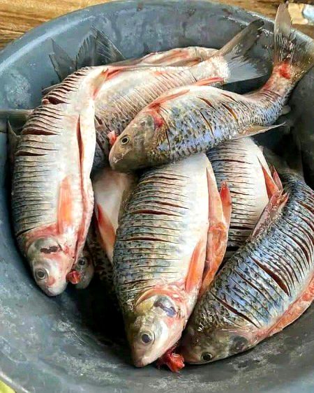 Beautiful Nature image