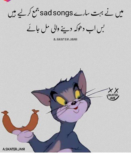 Memes & Satire image