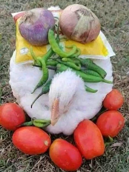 Funny joke