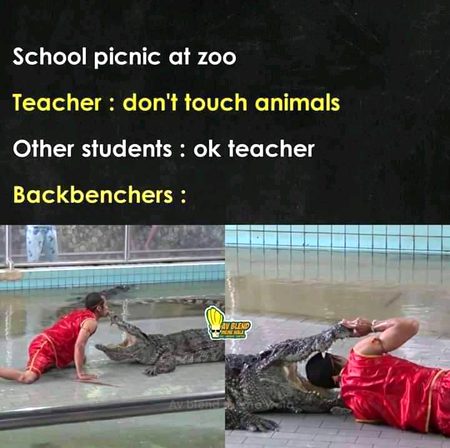 Memes & Satire image