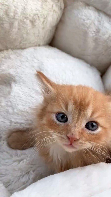 Beautiful Nature image