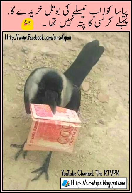 Memes & Satire image