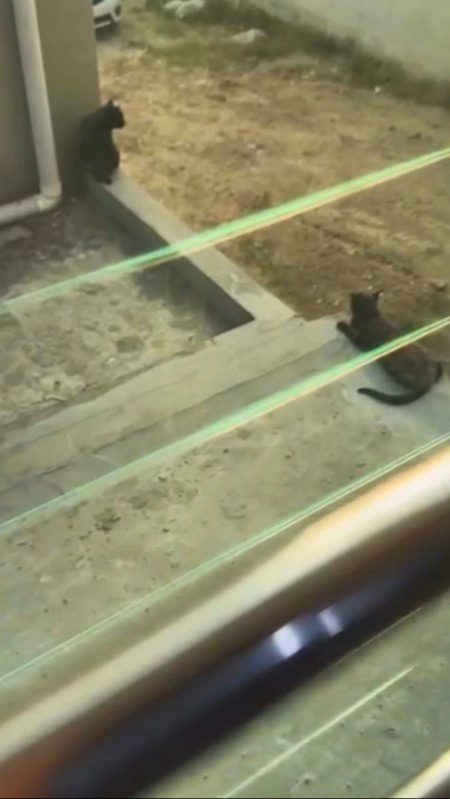 Beautiful Nature image