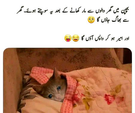 Memes & Satire image