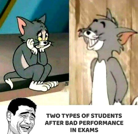 Memes & Satire image