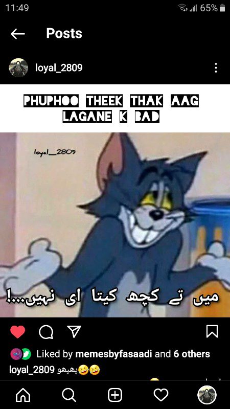 Memes & Satire image